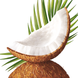 Ekologisk Munvatten ECODENTA Fresh Breath Coconut &amp; Xylitol 250 ml