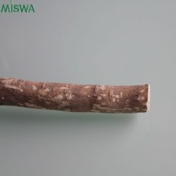 Miswak Tandborste Miswa Siwak Salvadora Persica