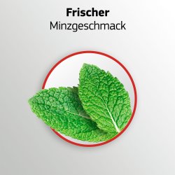 Proteselim Blend-a-dent Plus Barriere FRESH 40g