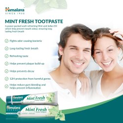 Herbal Tandpasta Himalaya Gum Expert Mint Fresh 75 ml.