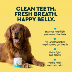 Tandv�rdspulver f�r hundar &amp; katter RADIUS OralPro+ Pet Dental &amp; Gut Powder  Vanilla (100 g)