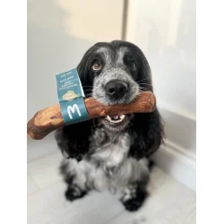 Pet Wiz Olive Wood Chew – Kauholz aus Olivenholz mit Oliven�l (Gr. S)