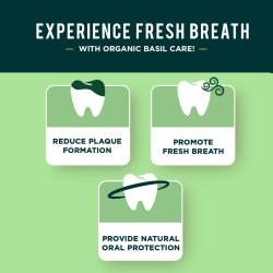 DABUR Tandpasta Fresh Breath Organic Basil 100 ml