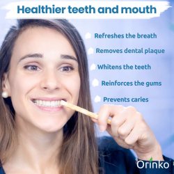 Miswak Pind 2 stk. med Beskyttelse Etui ORINKO Siwak Sticks 100% Naturlig Tandbrste