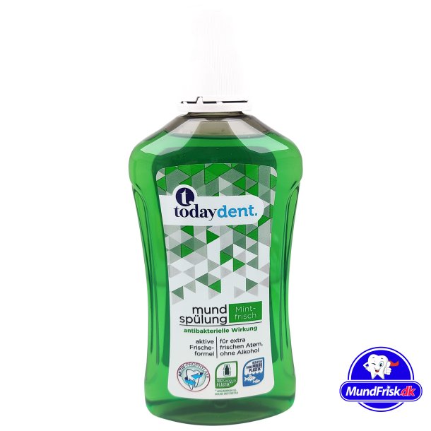Today Dent Mundwasser Fresh Mint 500 ml