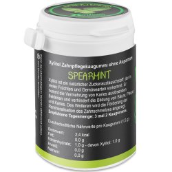 Naturligt Xylitol Tuggummi KAUX Spearmint 40 st. 60 g