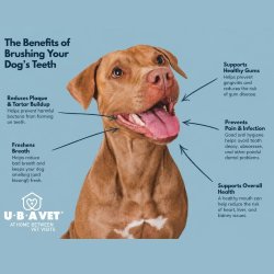 UBAVET Dual Enzyme Tandpasta voor Honden &amp; Katten  Vanille (70 g)