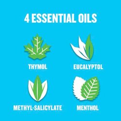 Whitening Munvatten LISTERINE Total Care Stay White Arctic Mint 500 ml.