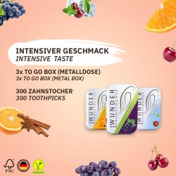 Wunder Tandstikker Med Smag Tasty Sampak 3 x 100 stk.