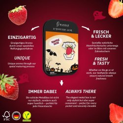 Wunder Tandstikker med smag Strawberry-Sour � Metal�ske 100 stk.