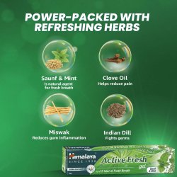 Herbal Tandpasta HIMALAYA Active Fresh 80g 