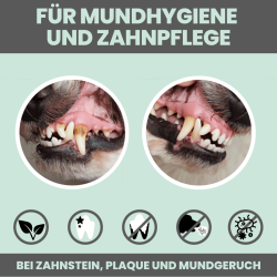 Noms+ Dental Mix – Zahnpflegepulver f�r Hunde gegen Plaque, Zahnstein und Mundgeruch (150g)