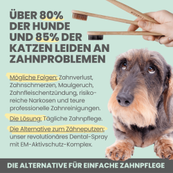 Noms+ Dental Spray – nat�rliche Zahnpflegespray f�r Hunde und Katzen (100 ml.)