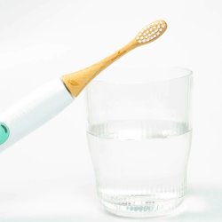 Bambusbrstehoder Truemorrow For Philips Sonicare Hvit MEDIUM