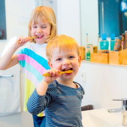 Brne Bambus Tandbrste Dental Delight Bamboolino Kids