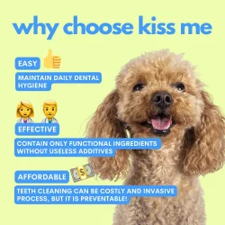 JAMPY KISS ME Dental Spray – Zahn- und Mundspray für Hunde mit Natriumhexametaphosphat (100 ml)