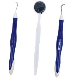 Tandplejeinstrumenter St Wisdom Dental Hygiene Kit