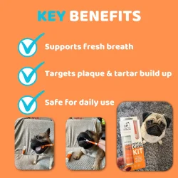 DogsLife Dental Care Kit � komplettes Zahnpasta-Pflegeset für Hunde mit Zahnpasta, dreifacher Zahnbürste und Fingerbürsten