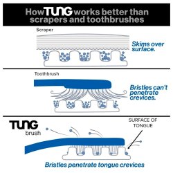 Tungrengring TUNG Brush Tungborste