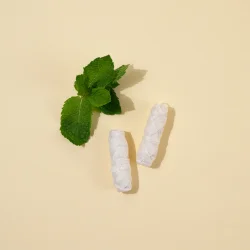 Bamboo Earth Pure Silk Eco Floss Refill � naturlig tandtr�d med mint - 2 � 30 meter