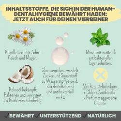 Noms+ Enzymodent Aktiv Zahnpasta-Creme f�r Hunde – enzymbasierte Zahnpflege mit mint und Kamille (75 ml.)