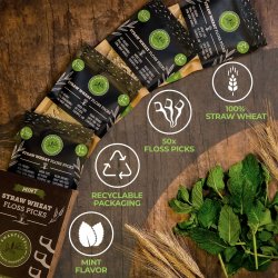 Sustainable Flossers SmartLifEco Flosser MINT