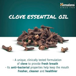 Ayurvedisk vxttandkrm Himalaya Dental Cream Kryddnejlika 100 g