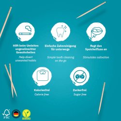 Wunder Tandstikker Med Smag Ice Bonbon Sampak