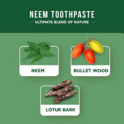 DABUR Tandpasta Antibacterial Organic Neem 100 ml