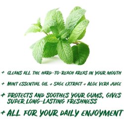 Naturligt Aloe Vera Munvatten ECODENTA Multifunktionell 500 ml