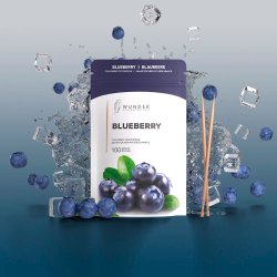 Wunder Toothpicks Flavored Blueberry Refill