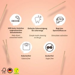 Wunder Tandstikker Med Smag FRESH Sampak