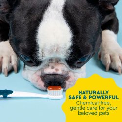RADIUS Organic Canine Dental Gel  Ökologische Zahnpasta für Hunde mit coconut oil und süßer Kartoffel (80 ml)