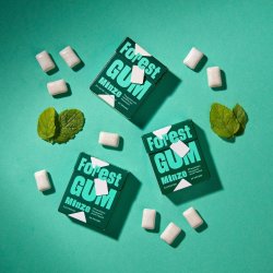 Forest Gum Minze � Plastfritt tuggummi med xylitol, naturlig mintsmak och v�xtbaserad tuggummibas � 20 g