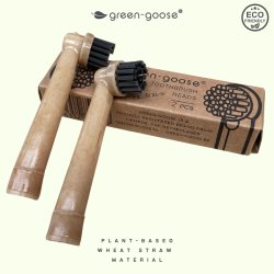 Brossettes de rechange d'origine v�g�tale pour brosses � dents �lectriques Oral-B Green-Goose (2 pcs)
