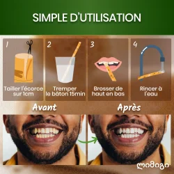 Miswak Pinner 5 stk. ORINKO Siwak Sticks 100% Naturlig Toothbrush