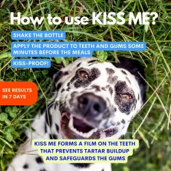 JAMPY KISS ME Dental Spray – Zahn- und Mundspray für Hunde mit Natriumhexametaphosphat (100 ml)