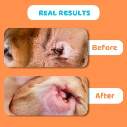 DogsLife Anti-Fungal Ear Cleaner � Ohrenreiniger für Hunde mit aloe vera und kokos � 237 ml