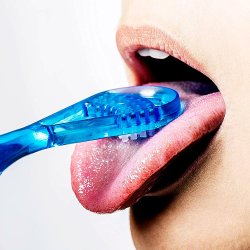 Tungerenser Mara Expert Tungeskraber