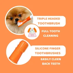 DogsLife Dental Care Kit � komplettes Zahnpasta-Pflegeset für Hunde mit Zahnpasta, dreifacher Zahnbürste und Fingerbürsten