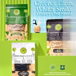 Sustainable Flossers SmartLifEco Flosser MINT