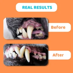 DOGSLIFE Deep Cleaning 100 g  Zahnpasta ffcr Hunde mit Aloe vera, peppermint und natfcrlichen Pflanzenextrakten