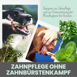 Noms+ Dental Mix – Zahnpflegepulver f�r Hunde gegen Plaque, Zahnstein und Mundgeruch (150g)