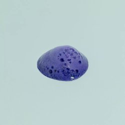 Tandblegning Skum My White Secret Colour Corrector