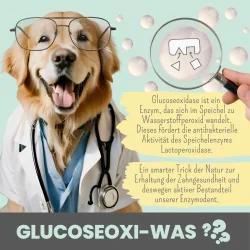 Noms+ Enzymodent Aktiv Zahnpasta-Creme f�r Hunde – enzymbasierte Zahnpflege mit mint und Kamille (75 ml.)
