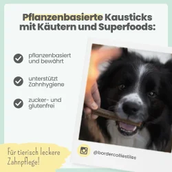 Noms+ Kr�uter Dentals – vegane Zahnpflegesticks f�r Hunde 150g)
