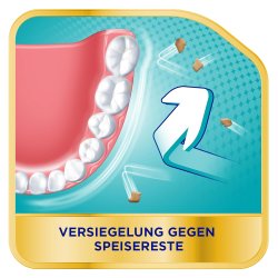 Proteselim COREGA Ultra Strong Hold + Sealing 40g