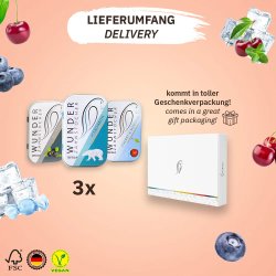 Wunder Tandstikker Med Smag FRESH Sampak