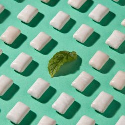 Forest Gum Minze � Plastfritt tuggummi med xylitol, naturlig mintsmak och v�xtbaserad tuggummibas � 20 g