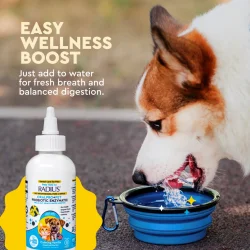 Radius OralPro+ Pet Probiotic Water Additive 118 ml | Mund- &amp; Darmpflege für Hund und Katze